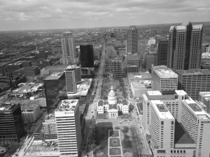 Saint Louis view